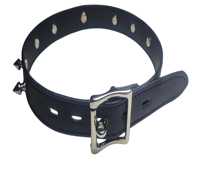 Leather Bdsm Studded Collar with O ring