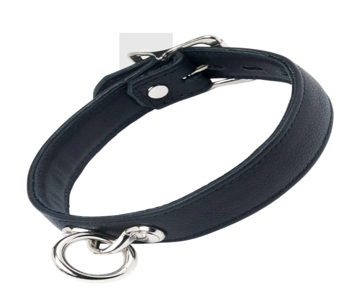 Leather Bdsm Choker collar