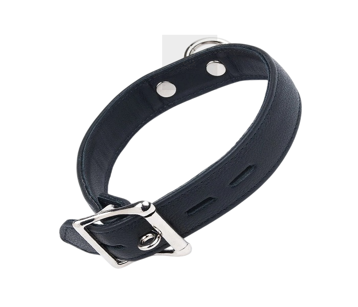 Leather Bdsm Choker collar